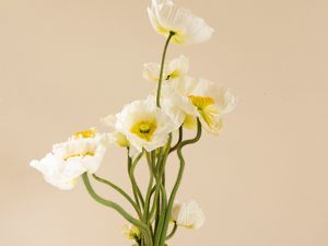 Preview wallpaper poppies, flowers, bouquet, vase, white