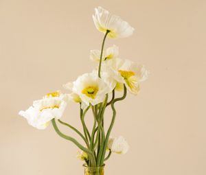 Preview wallpaper poppies, flowers, bouquet, vase, white