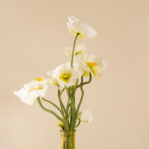 Preview wallpaper poppies, flowers, bouquet, vase, white