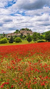 Preview wallpaper poppies, flowers, field, trees, buildings