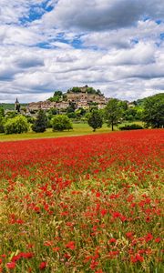 Preview wallpaper poppies, flowers, field, trees, buildings