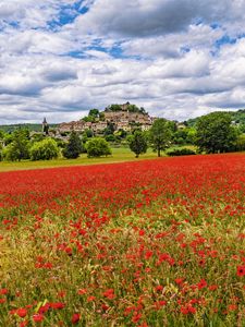 Preview wallpaper poppies, flowers, field, trees, buildings