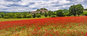Preview wallpaper poppies, flowers, field, trees, buildings