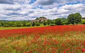 Preview wallpaper poppies, flowers, field, trees, buildings