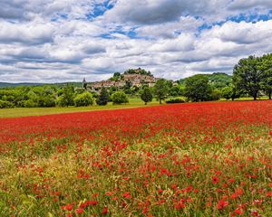 Preview wallpaper poppies, flowers, field, trees, buildings