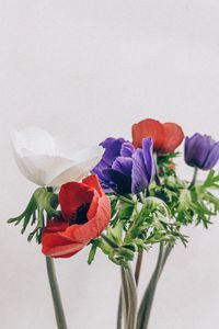 Preview wallpaper poppies, flowers, petals, bouquet, colorful