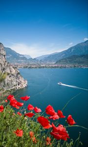 Preview wallpaper poppies, flowers, sea, boat, buildings, nature