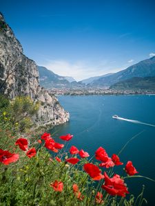 Preview wallpaper poppies, flowers, sea, boat, buildings, nature