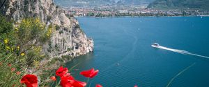 Preview wallpaper poppies, flowers, sea, boat, buildings, nature