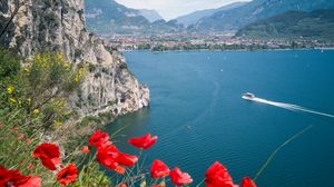 Preview wallpaper poppies, flowers, sea, boat, buildings, nature