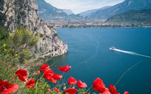 Preview wallpaper poppies, flowers, sea, boat, buildings, nature