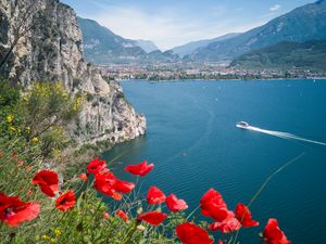 Preview wallpaper poppies, flowers, sea, boat, buildings, nature