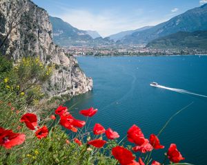 Preview wallpaper poppies, flowers, sea, boat, buildings, nature