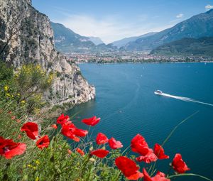 Preview wallpaper poppies, flowers, sea, boat, buildings, nature