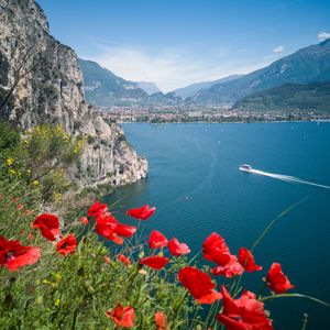 Preview wallpaper poppies, flowers, sea, boat, buildings, nature