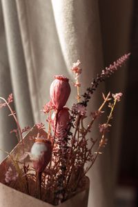 Preview wallpaper poppy, bouquet, flowers, dry