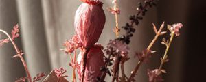 Preview wallpaper poppy, bouquet, flowers, dry