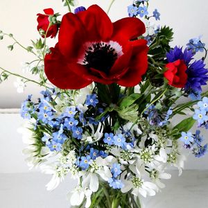 Preview wallpaper poppy, forget-me, cornflower, flowers, field, flower