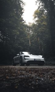 Preview wallpaper porsche 911, porsche, side view, gray, forest