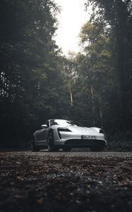 Preview wallpaper porsche 911, porsche, side view, gray, forest