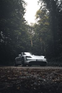 Preview wallpaper porsche 911, porsche, side view, gray, forest