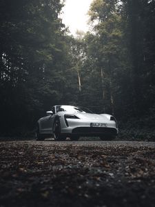 Preview wallpaper porsche 911, porsche, side view, gray, forest