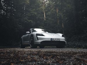 Preview wallpaper porsche 911, porsche, side view, gray, forest