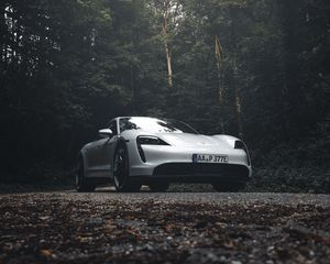 Preview wallpaper porsche 911, porsche, side view, gray, forest