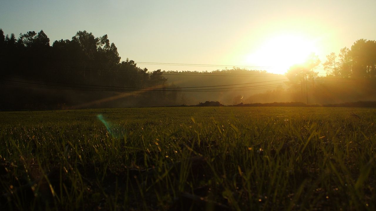 Wallpaper portugal, light, morning, field, grass, wires