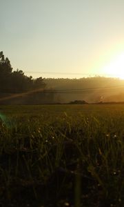 Preview wallpaper portugal, light, morning, field, grass, wires