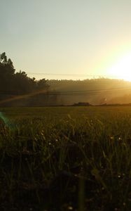 Preview wallpaper portugal, light, morning, field, grass, wires