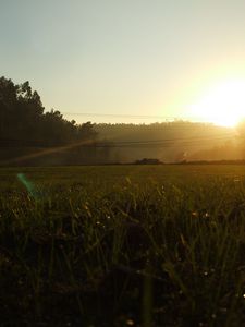 Preview wallpaper portugal, light, morning, field, grass, wires