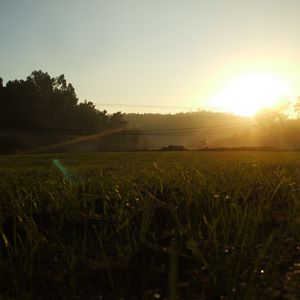 Preview wallpaper portugal, light, morning, field, grass, wires