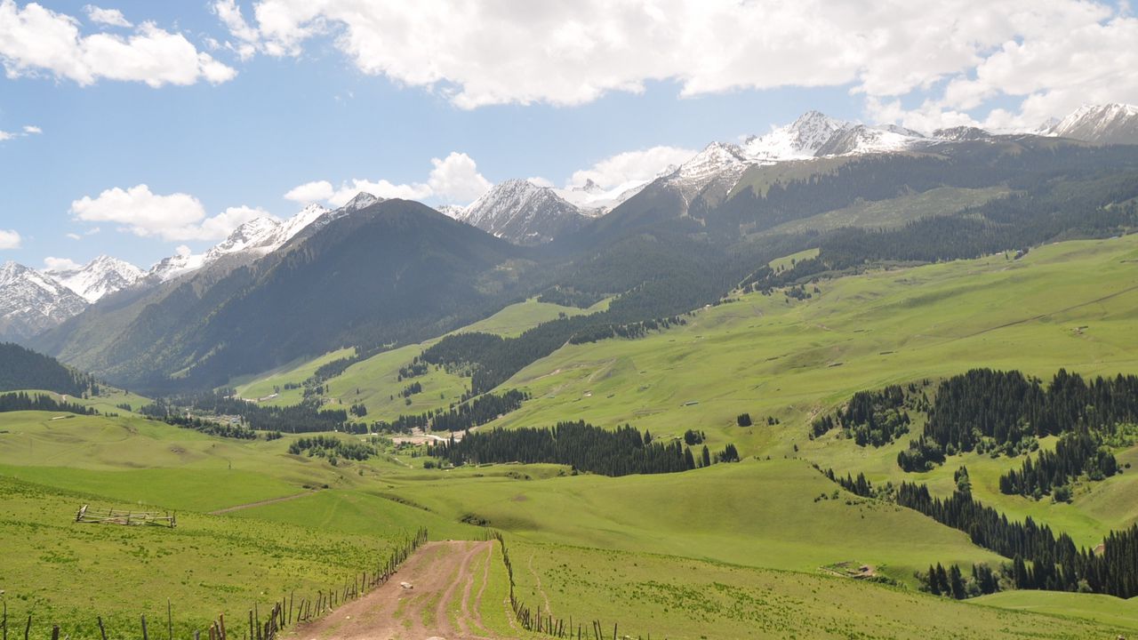 Wallpaper prairie, cajun, mountains, grass