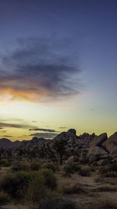 Preview wallpaper prairie, rocks, trees, bushes, sunset