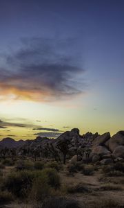 Preview wallpaper prairie, rocks, trees, bushes, sunset