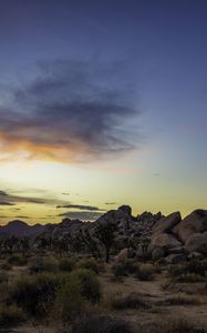 Preview wallpaper prairie, rocks, trees, bushes, sunset