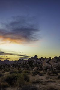 Preview wallpaper prairie, rocks, trees, bushes, sunset