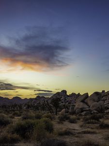 Preview wallpaper prairie, rocks, trees, bushes, sunset