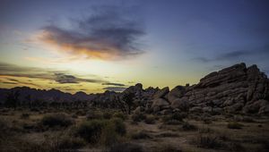 Preview wallpaper prairie, rocks, trees, bushes, sunset