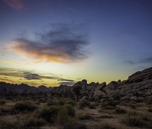 Preview wallpaper prairie, rocks, trees, bushes, sunset