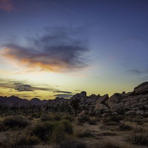 Preview wallpaper prairie, rocks, trees, bushes, sunset