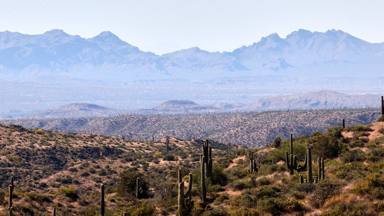 Wallpaper prairies, cacti, mountains, distance