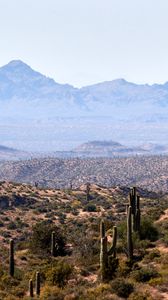 Preview wallpaper prairies, cacti, mountains, distance