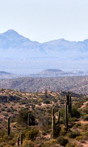 Preview wallpaper prairies, cacti, mountains, distance