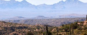 Preview wallpaper prairies, cacti, mountains, distance