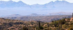 Preview wallpaper prairies, cacti, mountains, distance