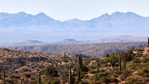 Preview wallpaper prairies, cacti, mountains, distance