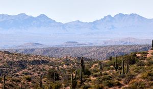 Preview wallpaper prairies, cacti, mountains, distance