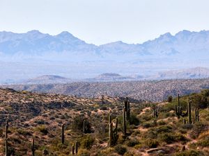 Preview wallpaper prairies, cacti, mountains, distance